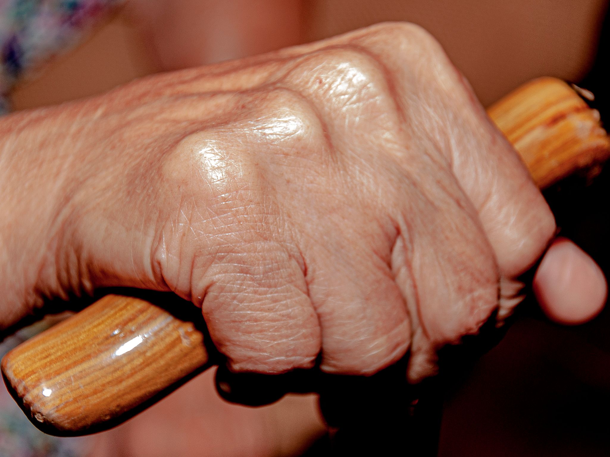 Concha 1 30X22,5